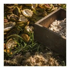 Chocolat de Couverture Noir Manjari 64% 250g Valrhona -Pavoni Shop chocolat de couverture noir manjari 64 250g valrhona 2