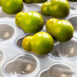 Moule Chocolat Andrey Dubovik 27,5 x 36,5 mm (x21) Chocolate World -Pavoni Shop moule chocolat andrey dubovik 275 x 365 mm x21 chocolate world 1