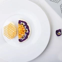 Moule Silicone Gourmand Rayon de Miel 6,7 x 6 x H 0,2 (x8) Pavoni -Pavoni Shop moule silicone gourmand rayon de miel 67 x 6 x h 02 x8 pavoni 2