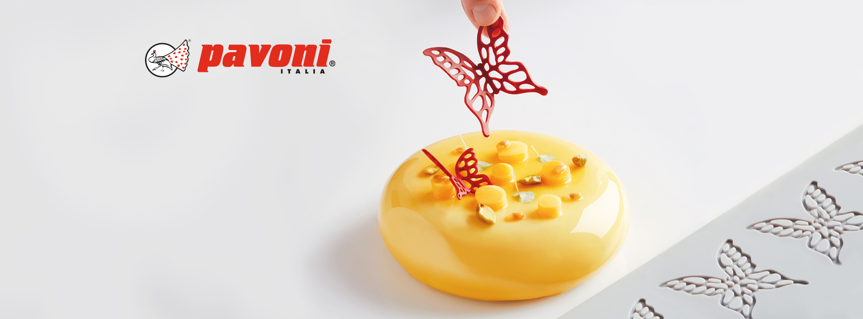 Pavoni Shop -Pavoni Shop PAVONI4